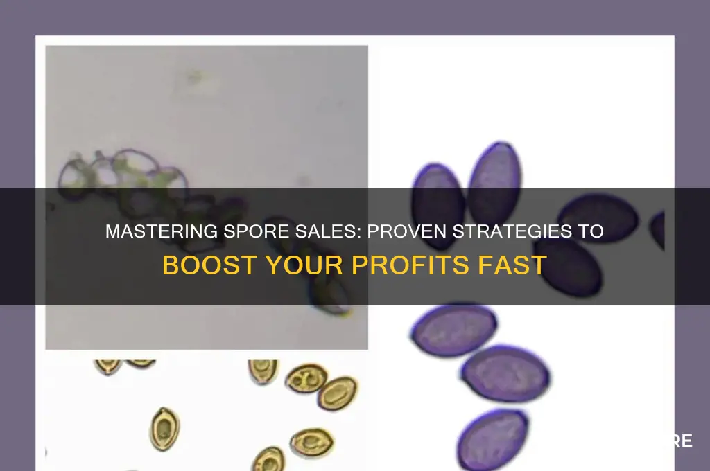 how to sell spore