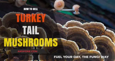 Selling Turkey Tail Mushrooms: Profitable Tips for Cultivators and Entrepreneurs