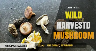 Selling Wild Harvested Mushrooms: A Guide to Profitable Foraging