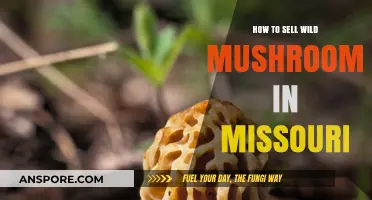 Selling Wild Mushrooms in Missouri: A Comprehensive Guide to Success