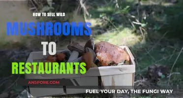 Selling Wild Mushrooms to Restaurants: A Profitable Foraging Guide