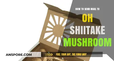 Mastering the Art of Mailing Oh Shiitake Mushrooms Safely