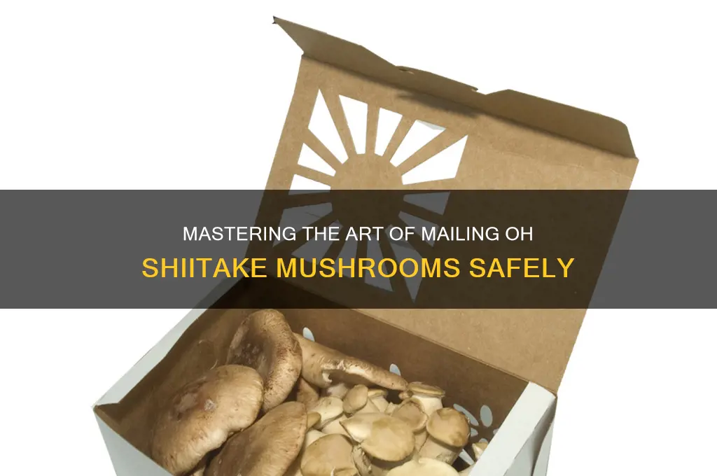 how to send mail to oh shiitake mushrooms