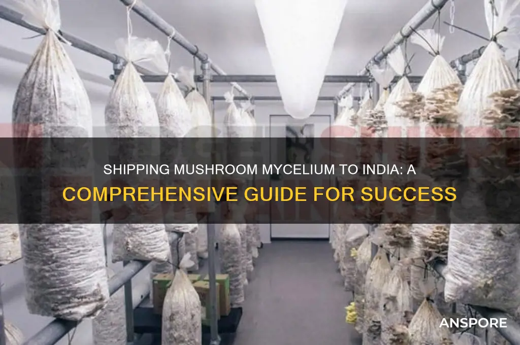 how to send mushroom mycelium to india