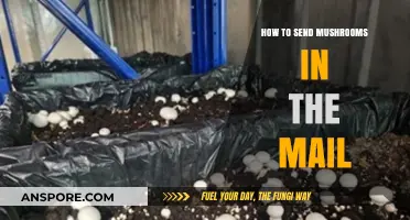 Safely Shipping Mushrooms: Tips for Mailing Fungi Without Damage