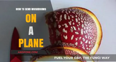 Flying with Fungi: Safe Tips for Sending Mushrooms on a Plane