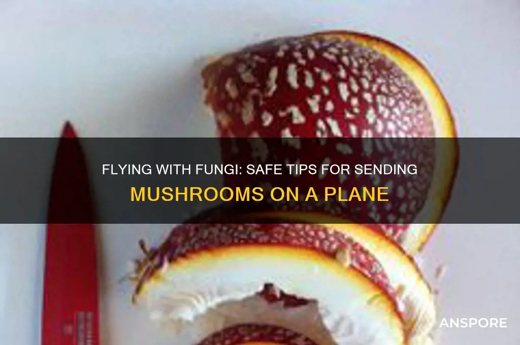how to send mushrooms on a plane