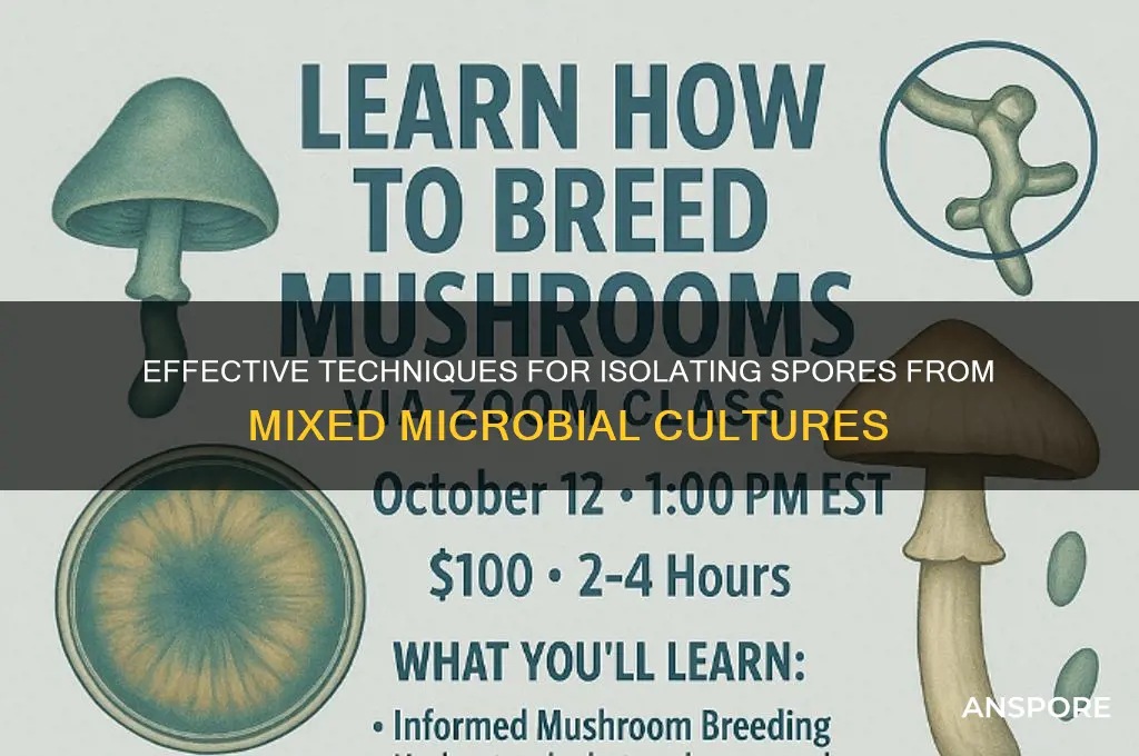 how to separate spores in a mixed culture