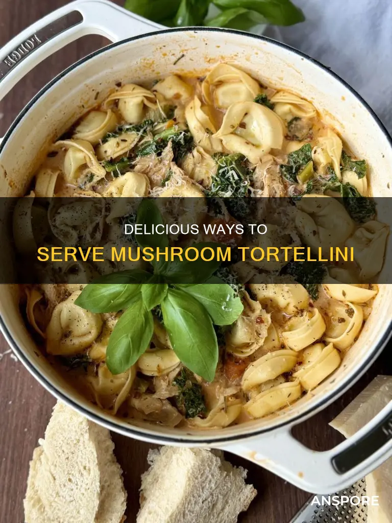 how to serve mushroom tortellini