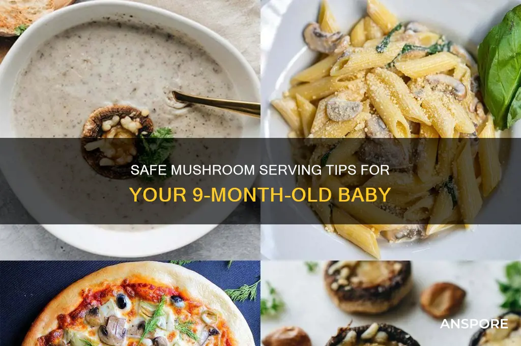 how to serve mushrooms to 9 month old