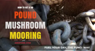 Setting a 50-Pound Mushroom Mooring: A Step-by-Step Guide