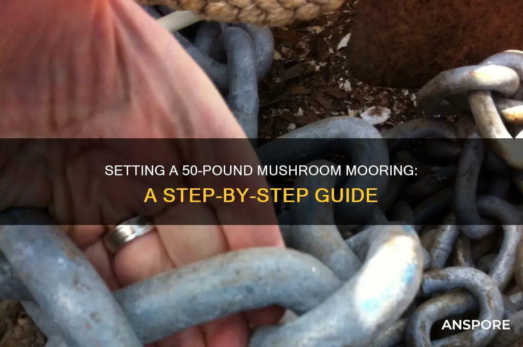 how to set a 50 pound mushroom mooring