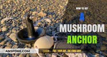 Mastering the Mushroom Anchor: A Step-by-Step Guide for Secure Setting