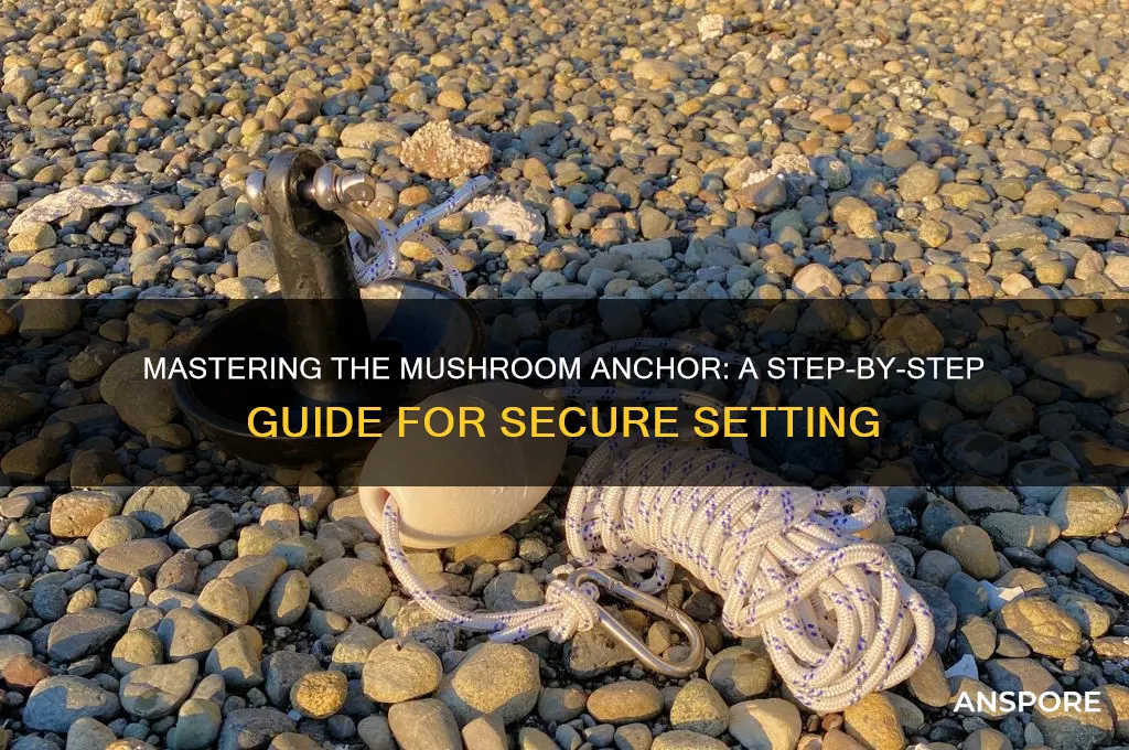 how to set a mushroom anchor