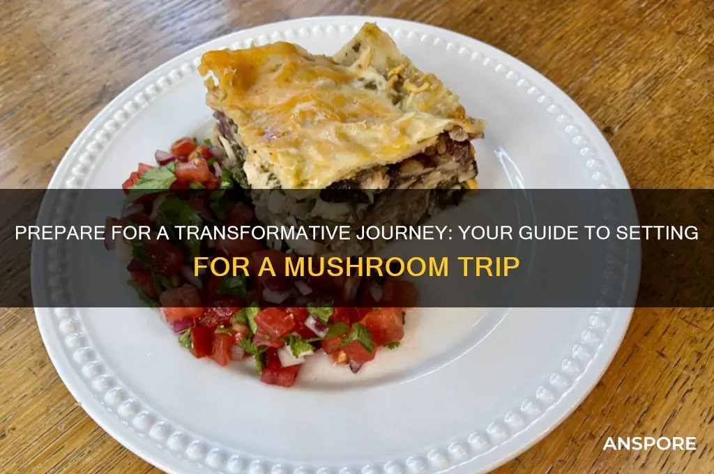 how to set for mushroom trip