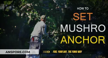 Setting a Mushroom Anchor: A Step-by-Step Guide