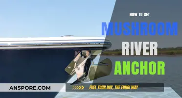 Mastering the Art of Setting a Mushroom River Anchor Safely