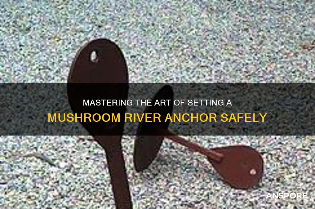 how to set mushroom river anchor