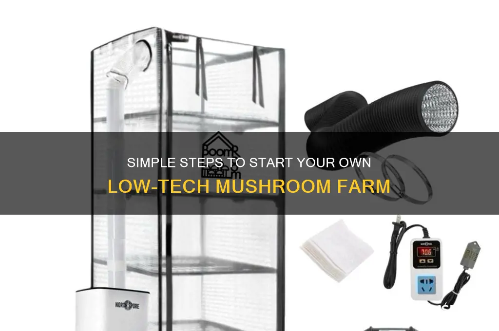 how to set up a low tech mushroom farm