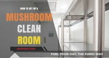 Creating a Sterile Mushroom Clean Room: Essential Setup Guide