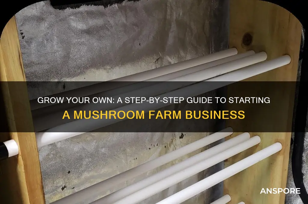 how to set up a mushroom farm business