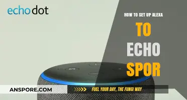 Setting Up Alexa to Echo Spor: A Step-by-Step Guide