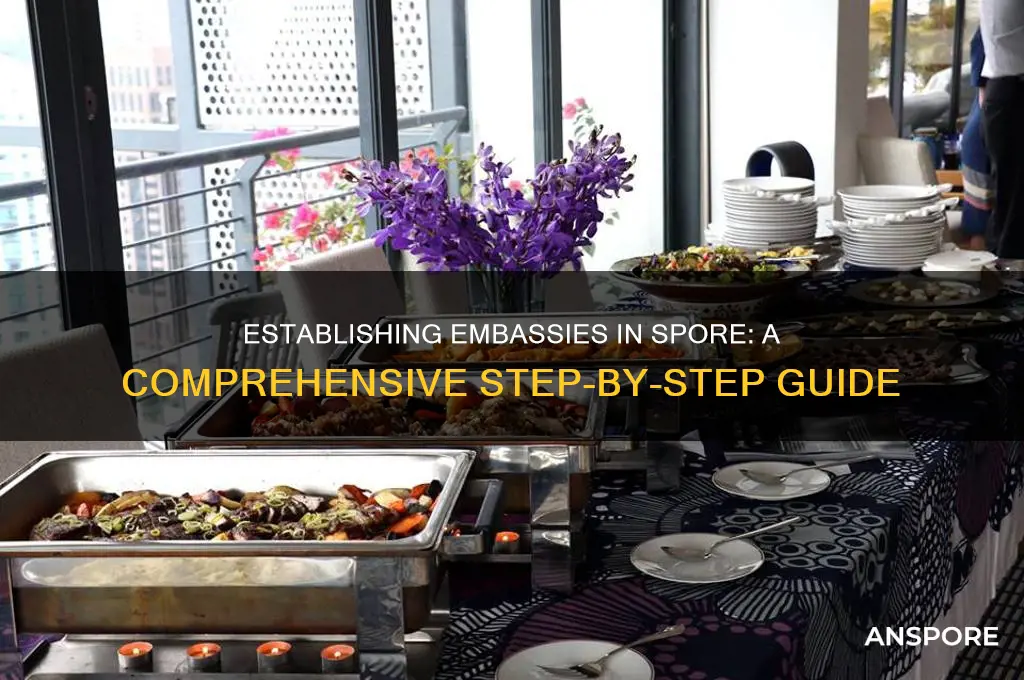 how to set up embassies in spore