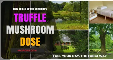 Preparing for a Truffle Mushroom Experience: A Step-by-Step Guide