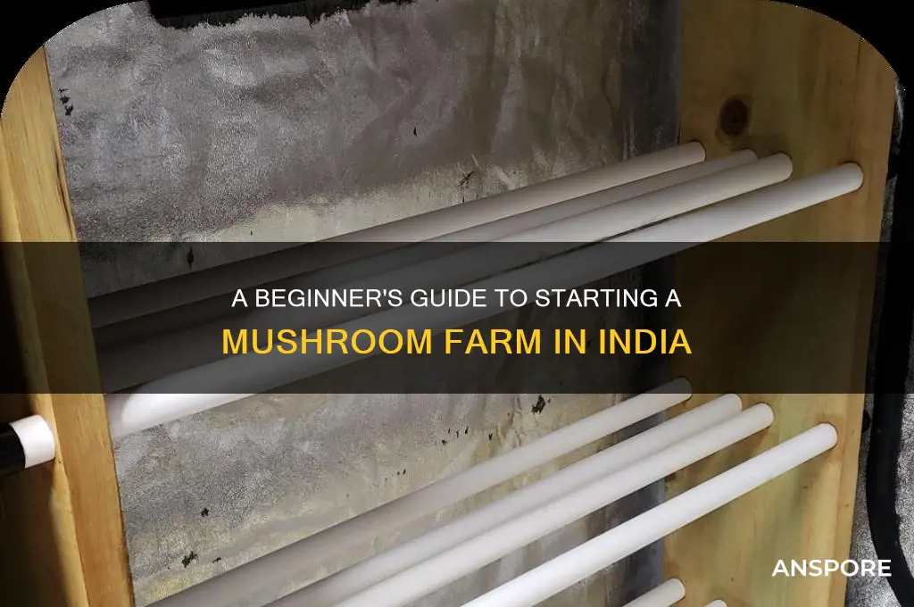 how to set up mushroom farm in india
