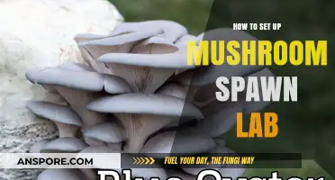 Creating a Mushroom Spawn Lab: Essential Steps for Successful Setup