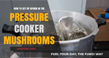 Mastering Mushroom Spawn Setup in Your Pressure Cooker: A Guide