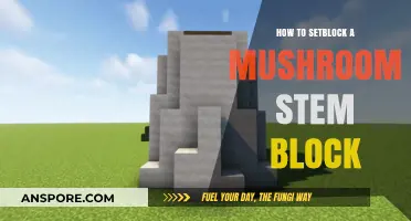 Mastering Minecraft: How to Setblock a Mushroom Stem Block