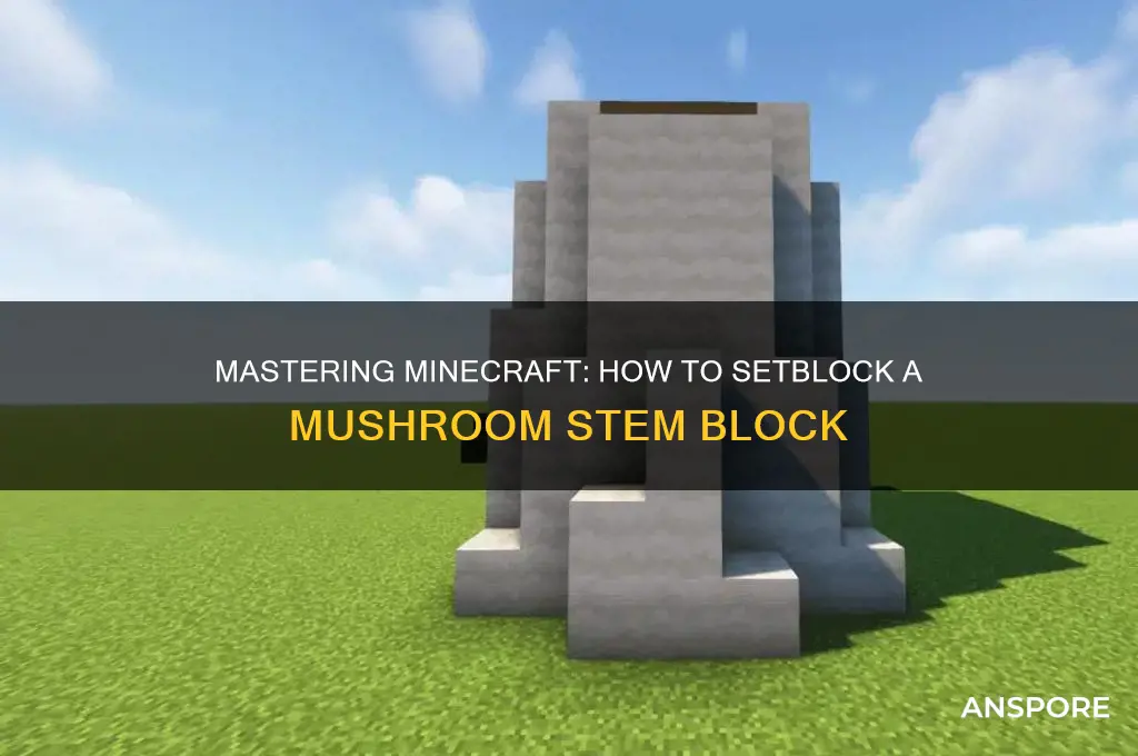 how to setblock a mushroom stem block