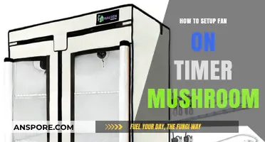 Easy Steps to Set Up a Timer for Your Mushroom Grow Fan