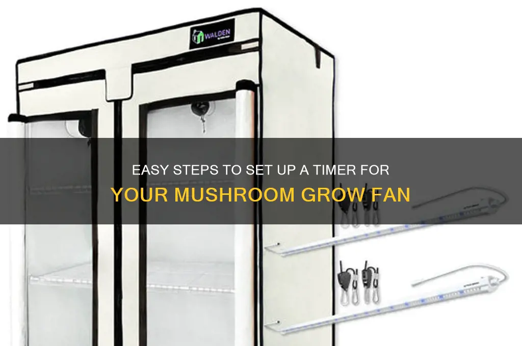 how to setup fan on timer mushrooms