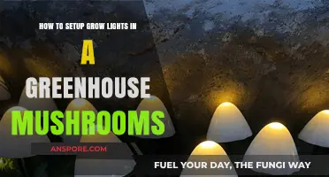 Optimal Mushroom Growth: Setting Up Grow Lights in Your Greenhouse