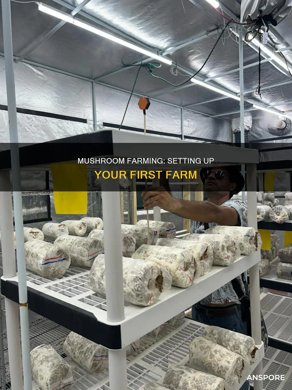 how to setup mushroom farm