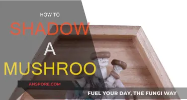 Shadowing Mushrooms: A Step-by-Step Guide to Success