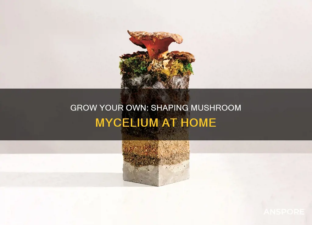 how to shape mushroom mycelium