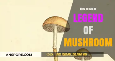 Sharing the Legend of Mushroom: Tips and Tricks for Storytellers
