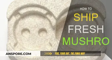 Shipping Mushrooms: Keep Them Fresh and Intact