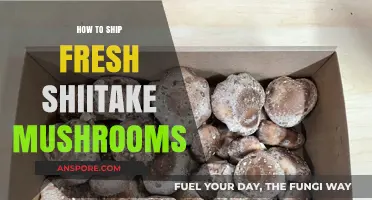 Shipping Fresh Shiitake Mushrooms: Expert Tips for Safe Delivery