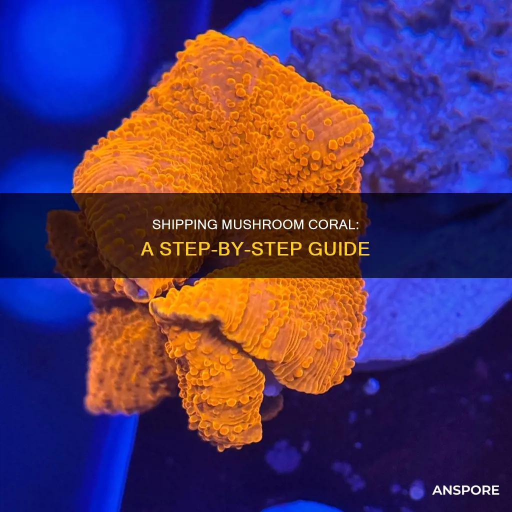how to ship mushroom coral