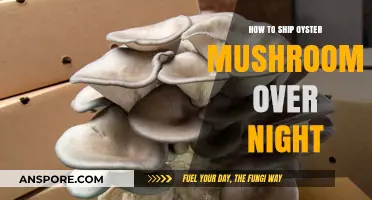 Shipping Oyster Mushrooms Overnight: Tips for Fresh, Safe Delivery