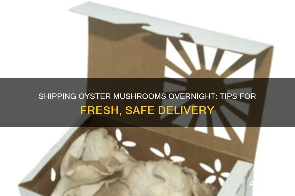 how to ship oyster mushrooms over night
