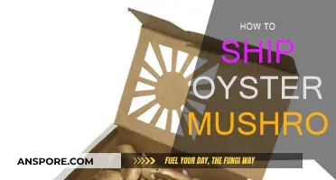Shipping Oyster Mushrooms: Best Practices