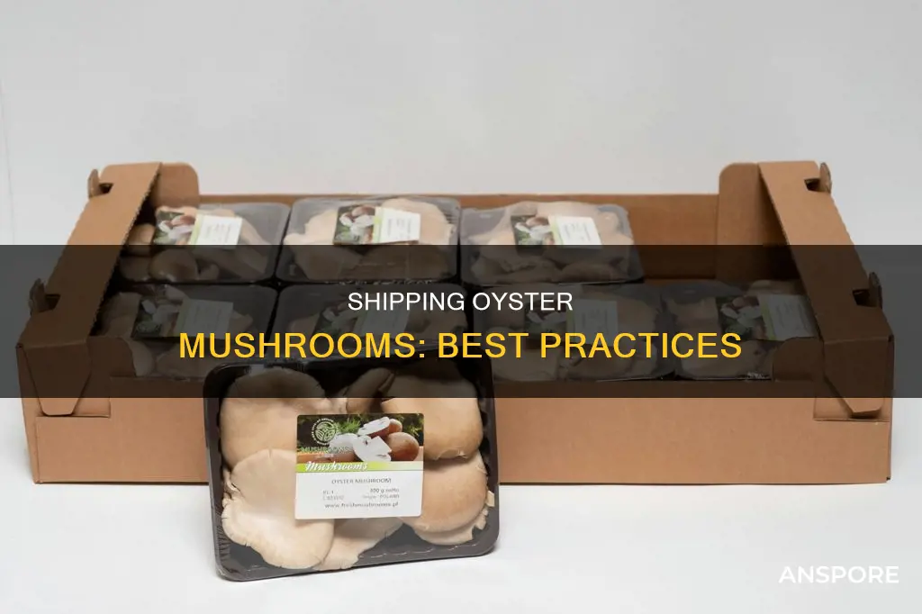 how to ship oyster mushrooms