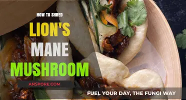 Mastering the Art of Shredding Lion's Mane Mushroom: A Step-by-Step Guide