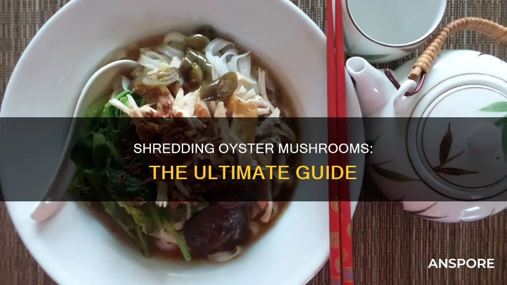 how to shred oystter mushrooms