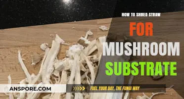 Mastering Mushroom Substrate: Easy Steps to Shred Straw Perfectly